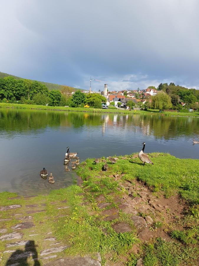Ferienwohnung Im Springerhof Lohr المظهر الخارجي الصورة