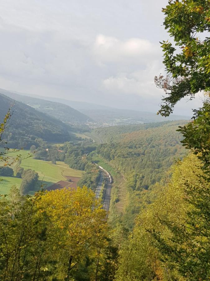 Ferienwohnung Im Springerhof Lohr المظهر الخارجي الصورة