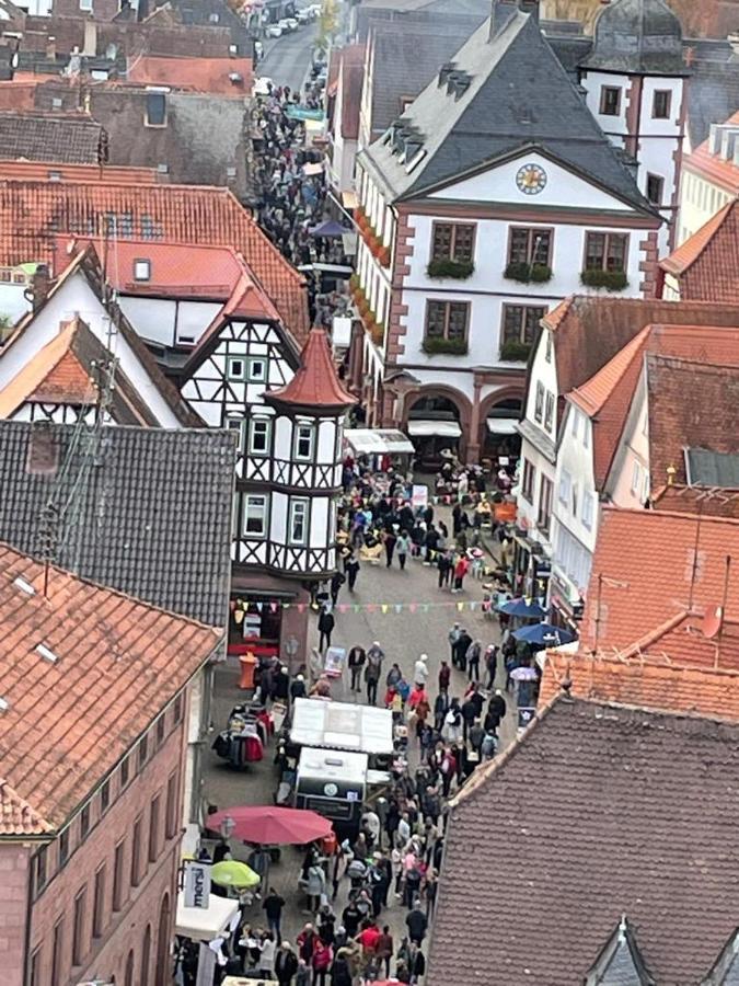 Ferienwohnung Im Springerhof Lohr المظهر الخارجي الصورة