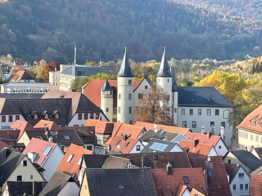 Ferienwohnung Im Springerhof Lohr المظهر الخارجي الصورة