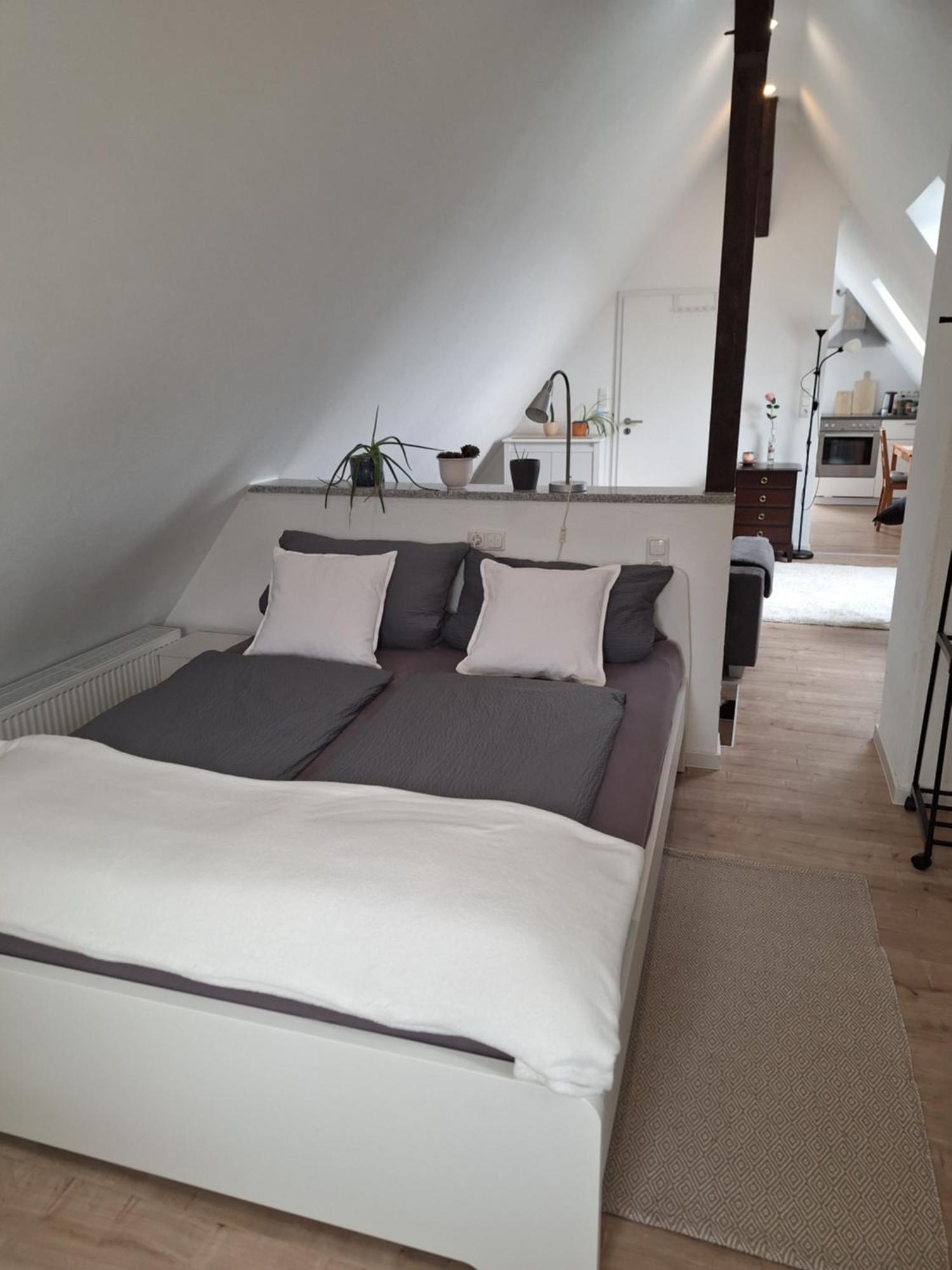 Ferienwohnung Im Springerhof Lohr المظهر الخارجي الصورة